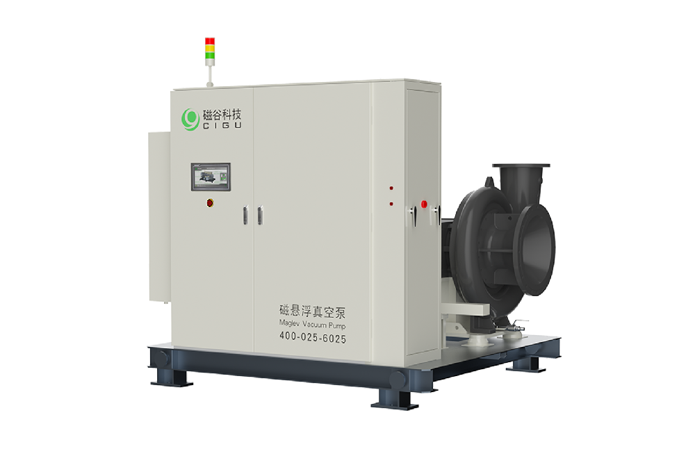 Maglev Vacuum Pump